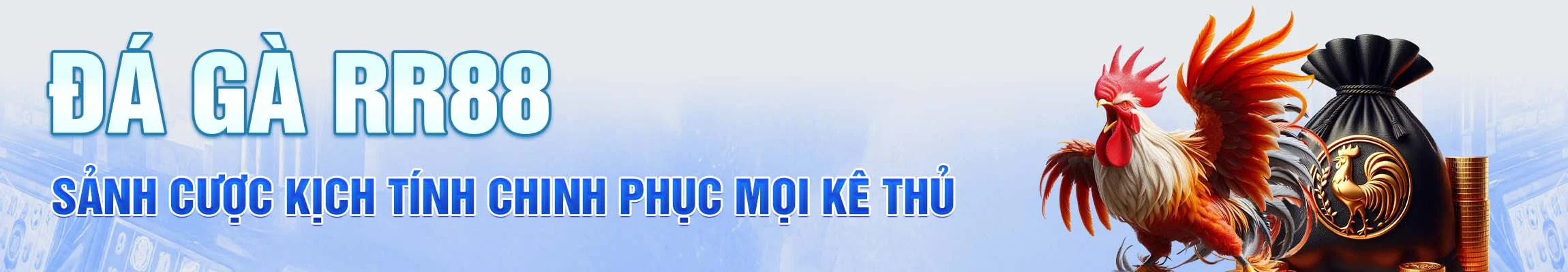 đá gà rr88