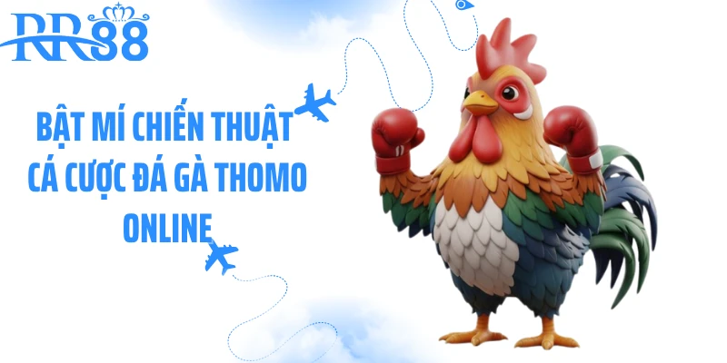 Bật mí chiến thuật cá cược đá gà Thomo online