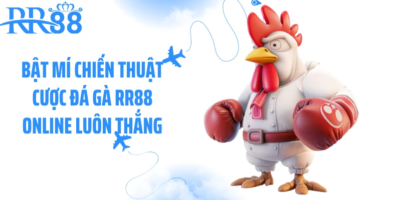 Bật mí chiến thuật cược đá gà RR88 online luôn thắng