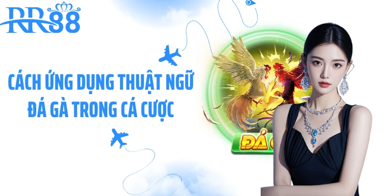 Cách ứng dụng thuật ngữ đá gà trong cá cược
