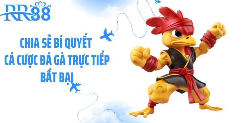 Chia sẻ bí quyết cá cược đá gà trực tiếp bất bại