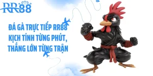 Đá Gà Trực Tiếp RR88 Kịch Tính Từng Phút, Thắng Lớn Từng Trận
