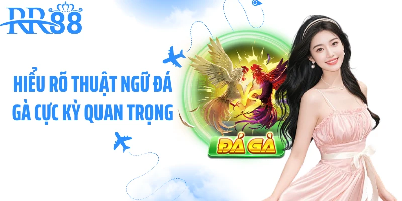 Hiểu rõ thuật ngữ đá gà cực kỳ quan trọng