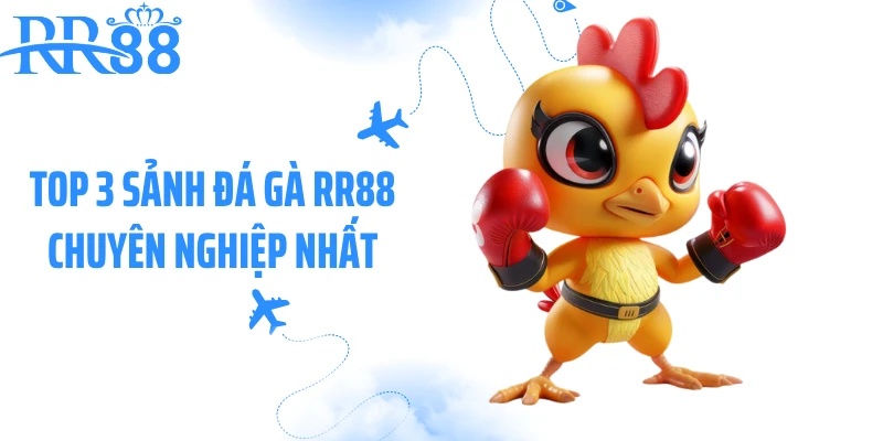 Top 3 sảnh đá gà RR88 chuyên nghiệp nhất